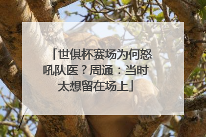 世俱杯赛场为何怒吼队医？周通：当时太想留在场上