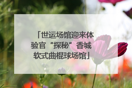 世运场馆迎来体验官“探秘”香城软式曲棍球场馆