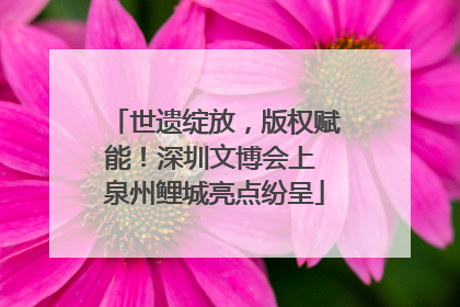 世遗绽放，版权赋能！深圳文博会上 泉州鲤城亮点纷呈