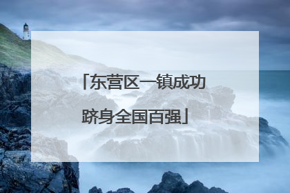 东营区一镇成功跻身全国百强