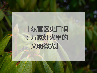 东营区史口镇：万家灯火里的文明微光