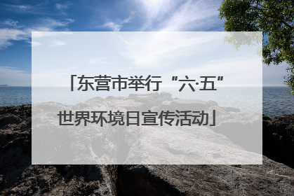 东营市举行“六·五”世界环境日宣传活动