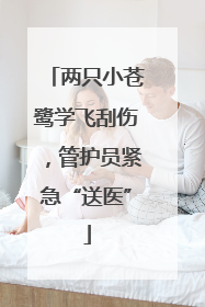 两只小苍鹭学飞刮伤，管护员紧急“送医”