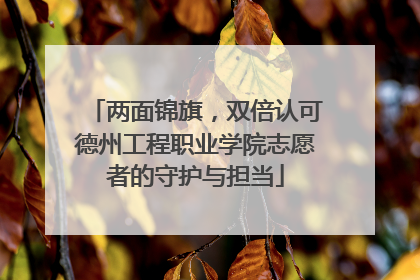 两面锦旗，双倍认可德州工程职业学院志愿者的守护与担当