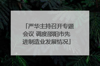 严华主持召开专题会议 调度邵阳市先进制造业发展情况