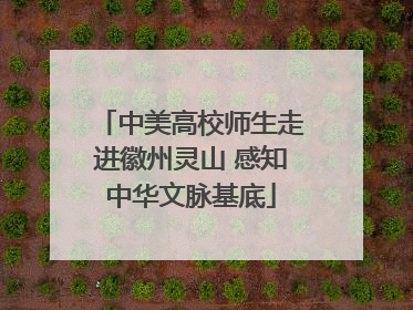 中美高校师生走进徽州灵山 感知中华文脉基底