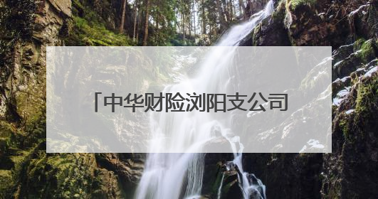 中华财险浏阳支公司：走进农贸市场 开展金融安全宣传活动