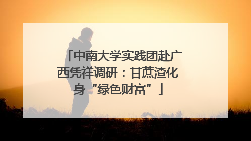 中南大学实践团赴广西凭祥调研：甘蔗渣化身“绿色财富”