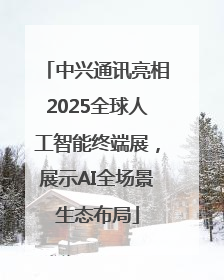 中兴通讯亮相2025全球人工智能终端展，展示AI全场景生态布局