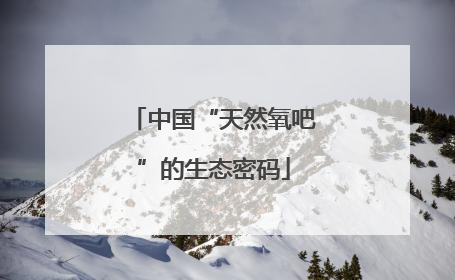 中国“天然氧吧”的生态密码
