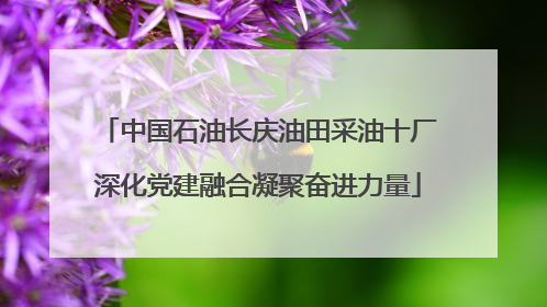中国石油长庆油田采油十厂深化党建融合凝聚奋进力量