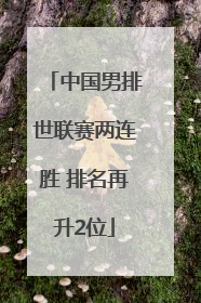 中国男排世联赛两连胜 排名再升2位