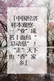 中国经济样本观察·一“业”成名丨面包“总动员”！“走”天下也“香”家乡