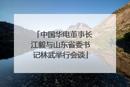 中国华电董事长江毅与山东省委书记林武举行会谈