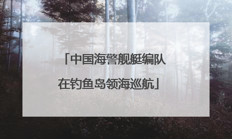 中国海警舰艇编队在钓鱼岛领海巡航