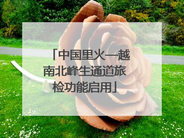 中国里火—越南北峰生通道旅检功能启用