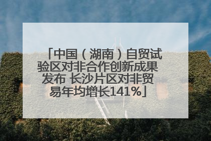 中国（湖南）自贸试验区对非合作创新成果发布 长沙片区对非贸易年均增长141%