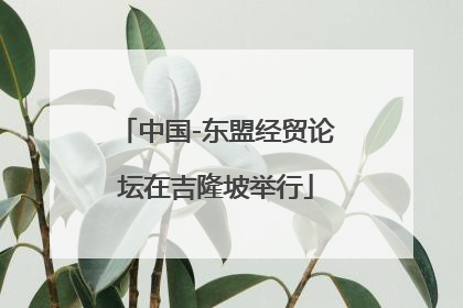 中国-东盟经贸论坛在吉隆坡举行