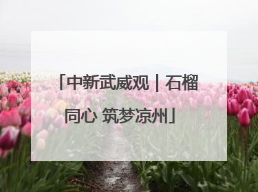 中新武威观｜石榴同心 筑梦凉州