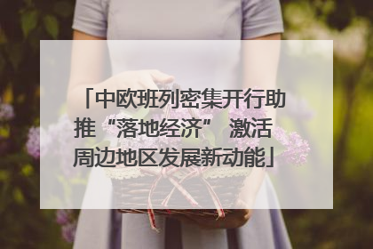 中欧班列密集开行助推“落地经济” 激活周边地区发展新动能
