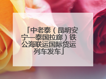 中老泰（昆明安宁—泰国拉廊）铁公海联运国际货运列车发车