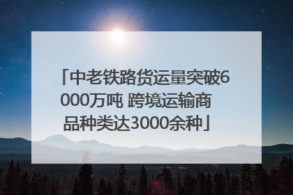 中老铁路货运量突破6000万吨 跨境运输商品种类达3000余种