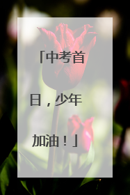 中考首日，少年加油！