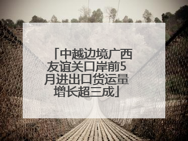 中越边境广西友谊关口岸前5月进出口货运量增长超三成