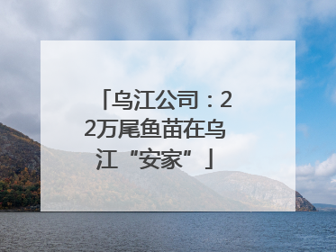 乌江公司：22万尾鱼苗在乌江“安家”