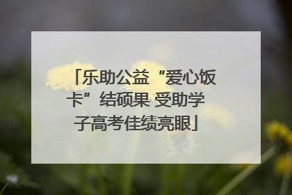 乐助公益“爱心饭卡”结硕果 受助学子高考佳绩亮眼