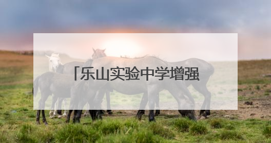 乐山实验中学增强学生对优秀传统文化的认同感和自豪感
