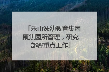 乐山洙幼教育集团聚焦园所管理，研究部署重点工作