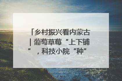 乡村振兴看内蒙古｜葡萄草莓“上下铺”，科技小院“种”出三倍效益