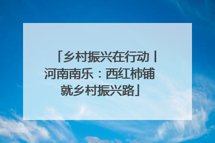 乡村振兴在行动丨河南南乐：西红柿铺就乡村振兴路