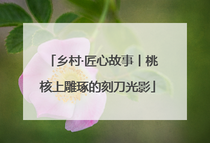 乡村·匠心故事丨桃核上雕琢的刻刀光影