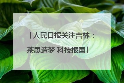 人民日报关注吉林：茶思造梦 科技报国
