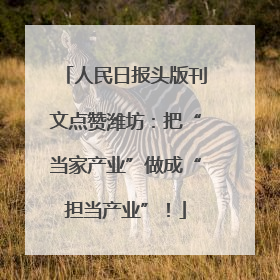 人民日报头版刊文点赞潍坊：把“当家产业”做成“担当产业”！