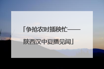 争抢农时插秧忙——陕西汉中夏播见闻