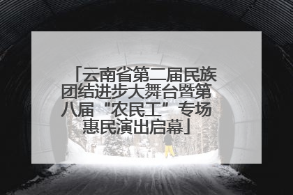 云南省第二届民族团结进步大舞台暨第八届“农民工”专场惠民演出启幕