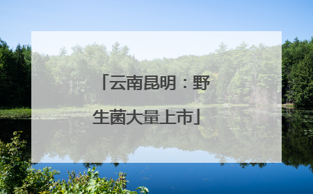 云南昆明：野生菌大量上市