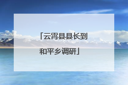 云霄县县长到和平乡调研