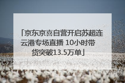 京东京喜自营开启苏超连云港专场直播 10小时带货突破13.5万单