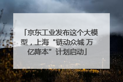 京东工业发布这个大模型，上海“链动众城 万亿降本”计划启动