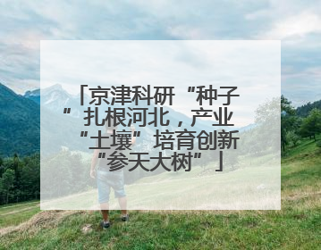 京津科研“种子”扎根河北，产业“土壤”培育创新“参天大树”