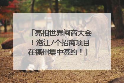 亮相世界闽商大会！洛江7个招商项目在福州集中签约！