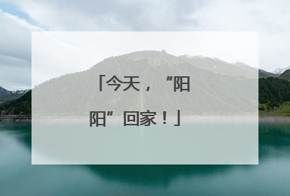 今天，“阳阳”回家！