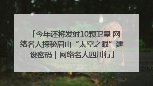 今年还将发射10颗卫星 网络名人探秘眉山“太空之眼”建设密码｜网络名人四川行