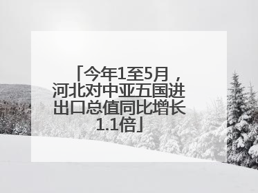 今年1至5月，河北对中亚五国进出口总值同比增长1.1倍