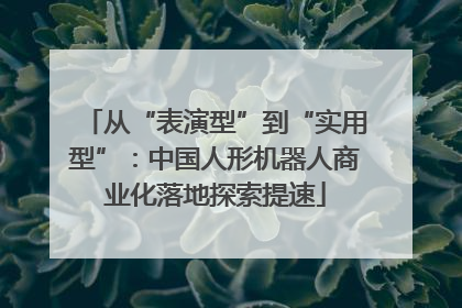 从“表演型”到“实用型”：中国人形机器人商业化落地探索提速