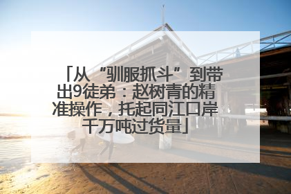 从“驯服抓斗”到带出9徒弟：赵树青的精准操作，托起同江口岸千万吨过货量